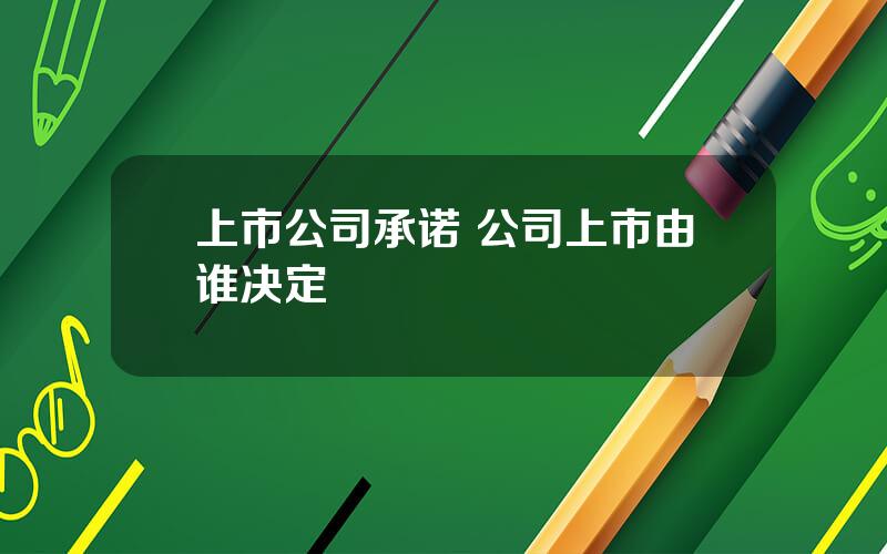 上市公司承诺 公司上市由谁决定